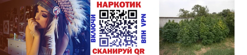 Купить Бошки Шишки  Меф мяу мяу  А ПВП  ГАШИШ  Кокаин  Уяр