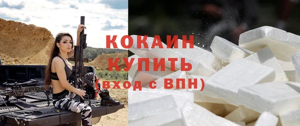 индика Елабуга