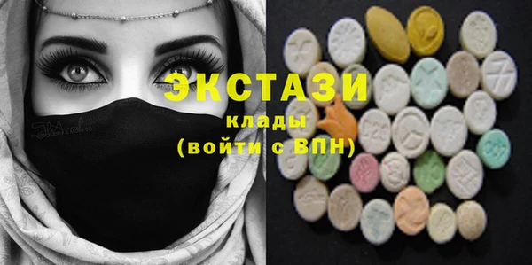 индика Елабуга