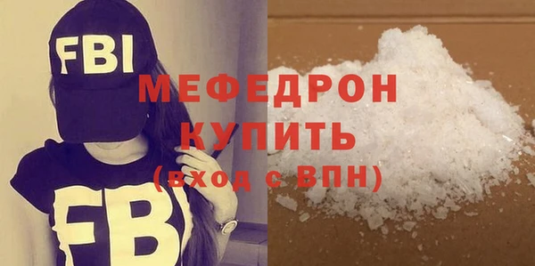 индика Елабуга