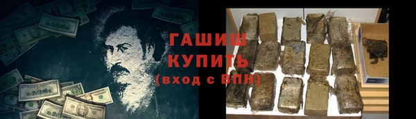 индика Елабуга