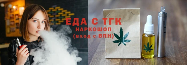 индика Елабуга