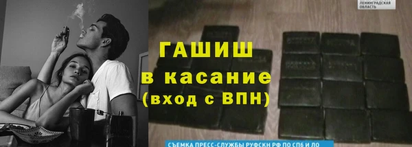 индика Елабуга