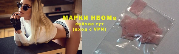 индика Елабуга