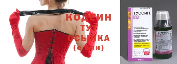 индика Елабуга