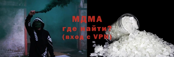 индика Елабуга
