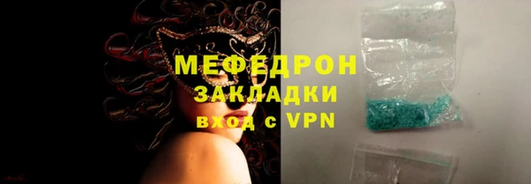 индика Елабуга
