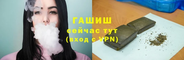 индика Елабуга