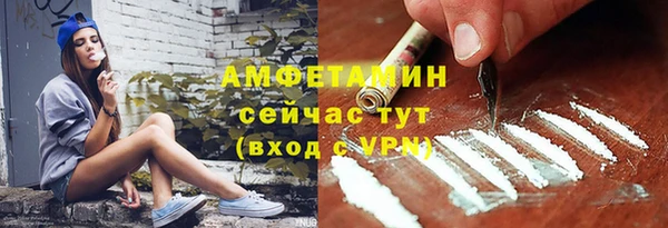 индика Елабуга