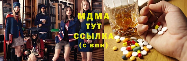 индика Елабуга