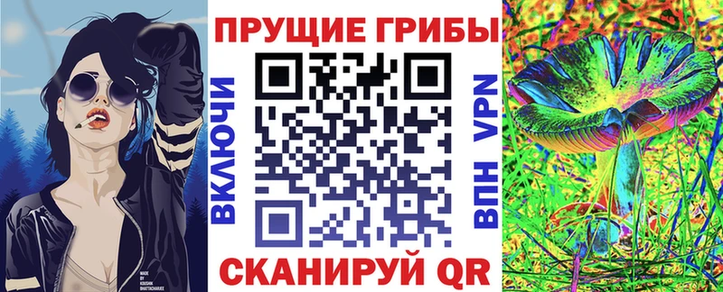 Купить  Уяр  Псилоцибиновые грибы GOLDEN TEACHER 